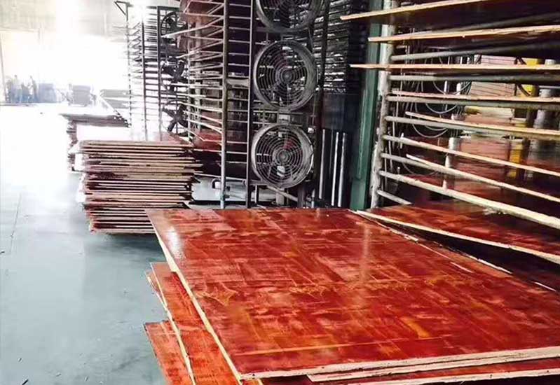 建筑模板的松木桉木施工模板
