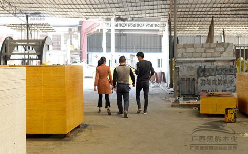 惠东建筑模板供应商莅临贵港考察木业