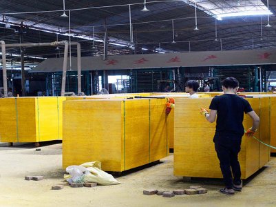 湖南建筑模板经销商实地考察广西木业厂